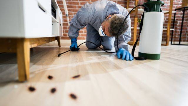 Pest Control Service - General Pest Control Services